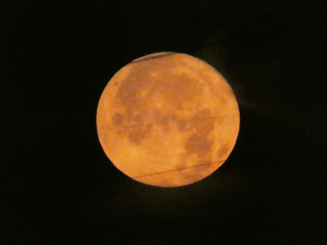 P1050060.JPG