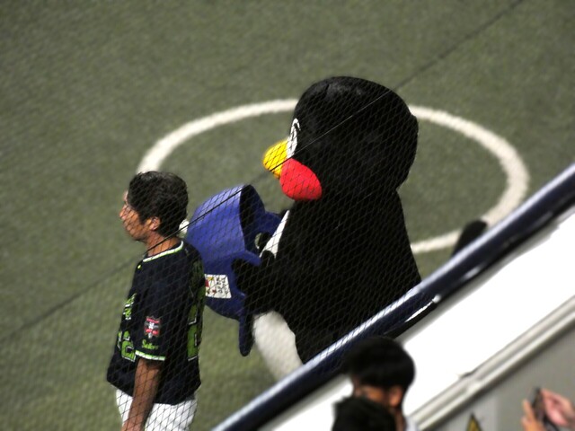 P1050348.JPG